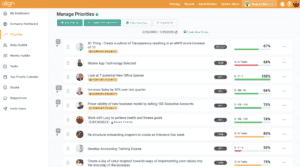 Goal Management with Priorities