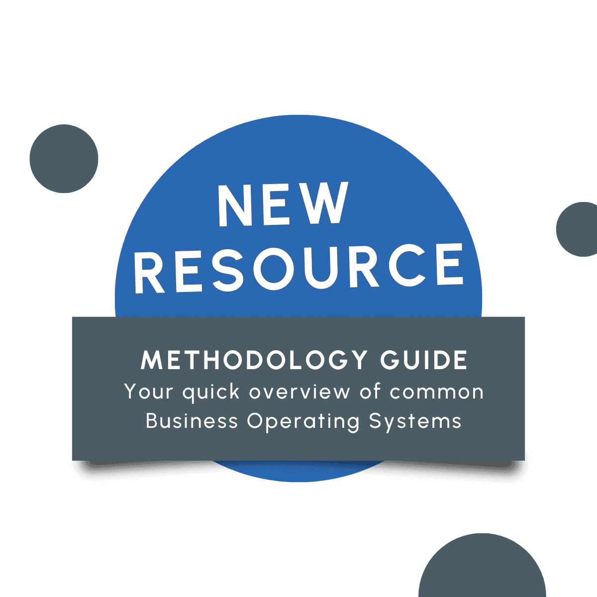 New Resource: Methodology Guide -- Your quick overview of common Business Operating Systems