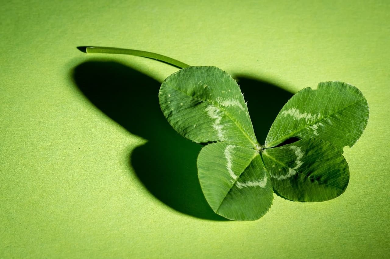 Your Entrepreneurial Success Isn't Based on Luck