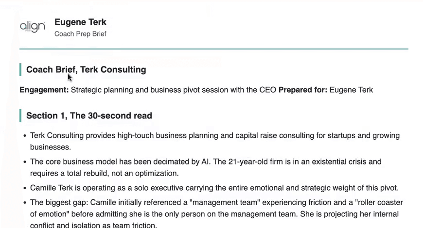 A Coach Brief's 30-second read, summarizing the engagement and the CEO's situation