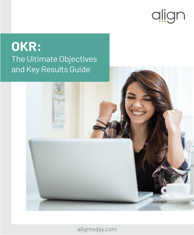 OKR: The Ultimate Objectives and Key Results Guide ebook cover